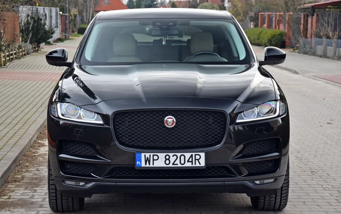 Jaguar F-Pace cena 110999 przebieg: 151000, rok produkcji 2016 z Płock małe 742